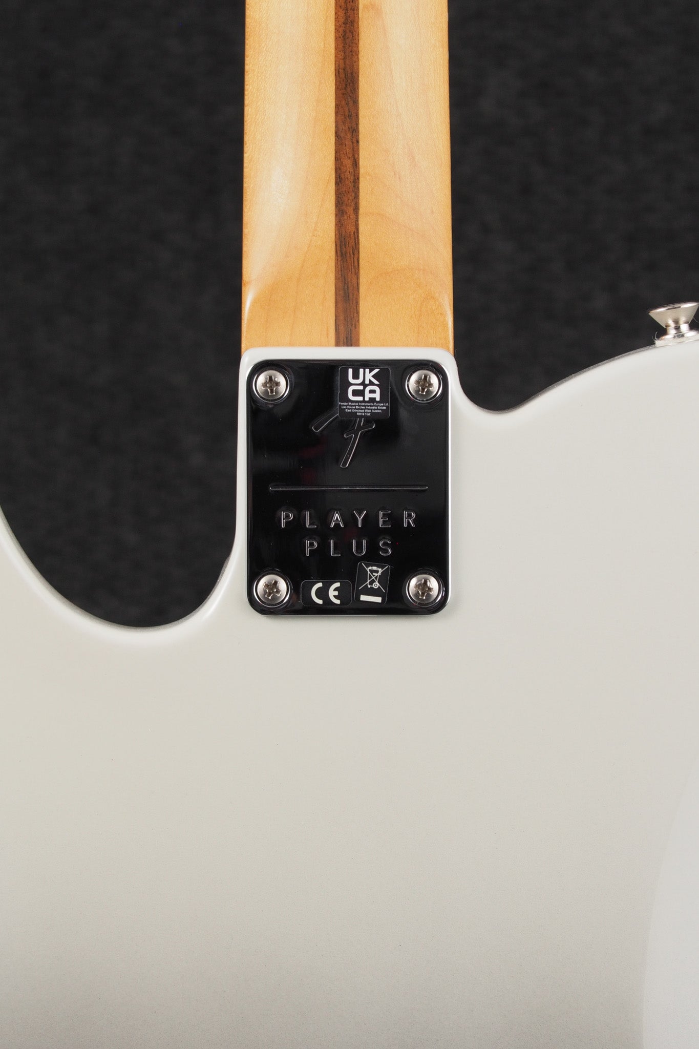 Player Plus Telecaster - Silver Smoke