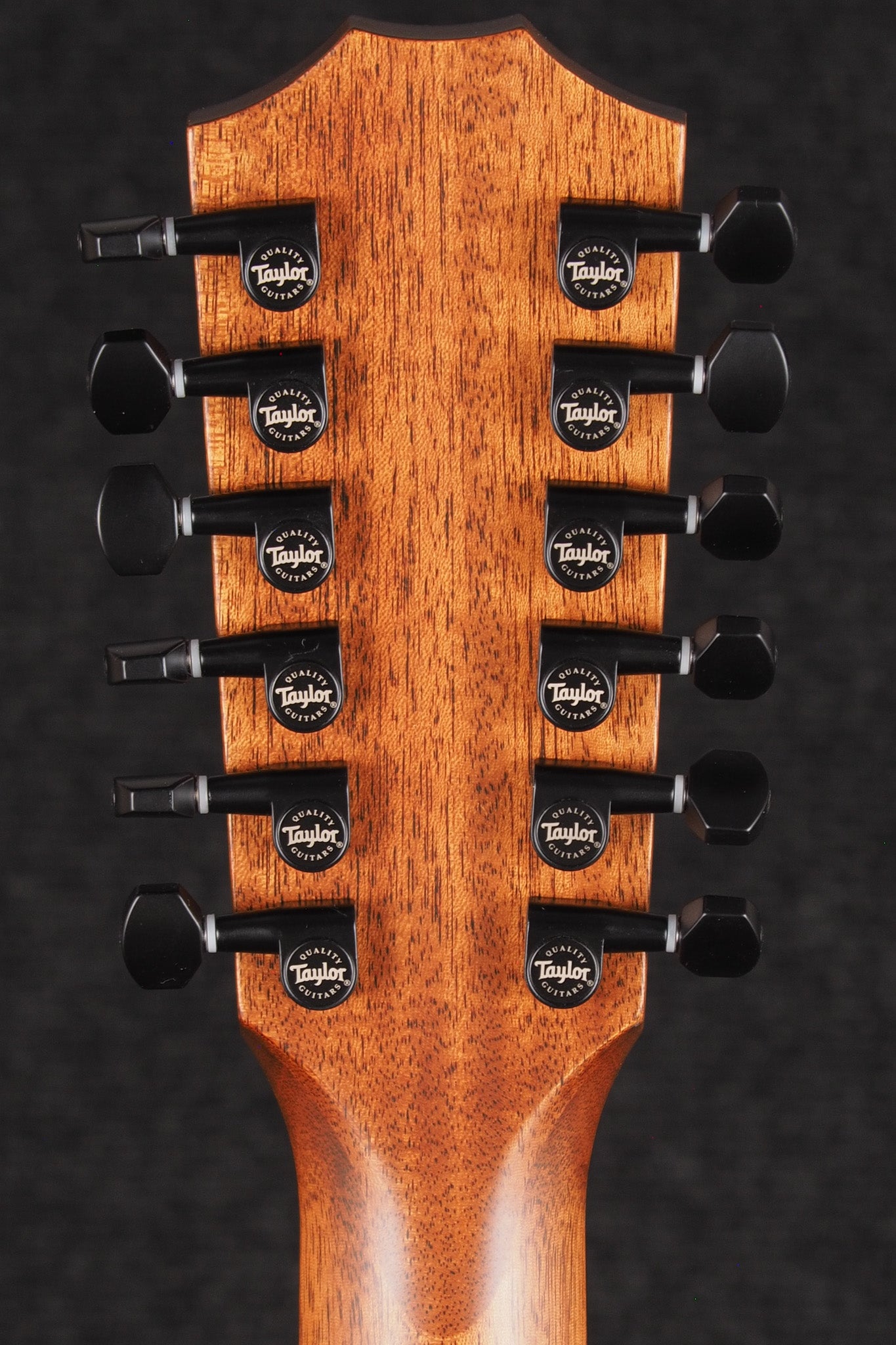 362ce - Bursted Tropical Mahogany